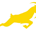 G.O.A.T. Paddle
